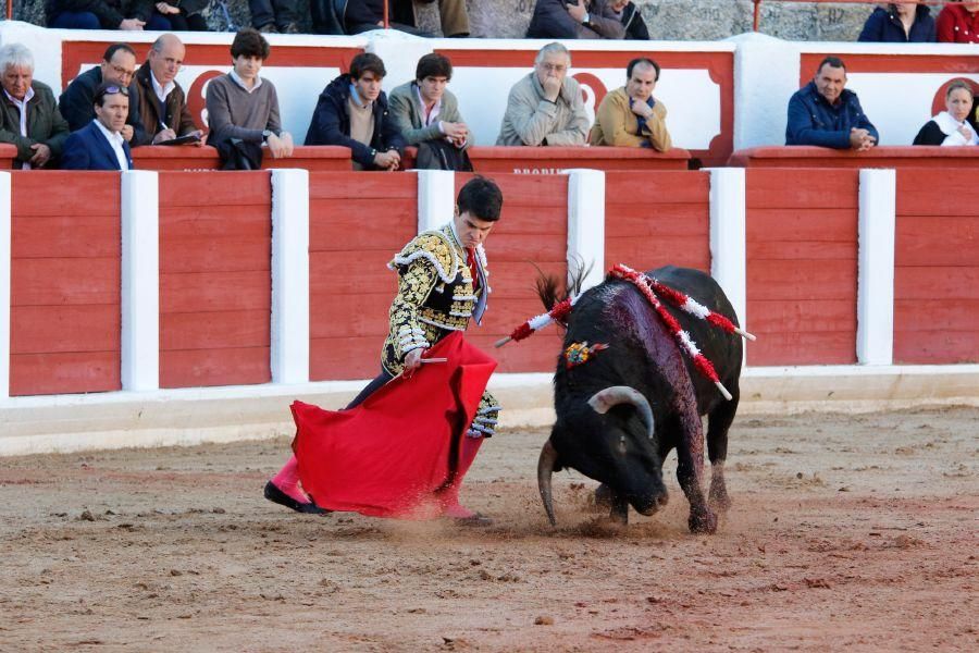 Tarde de toros en Zamora