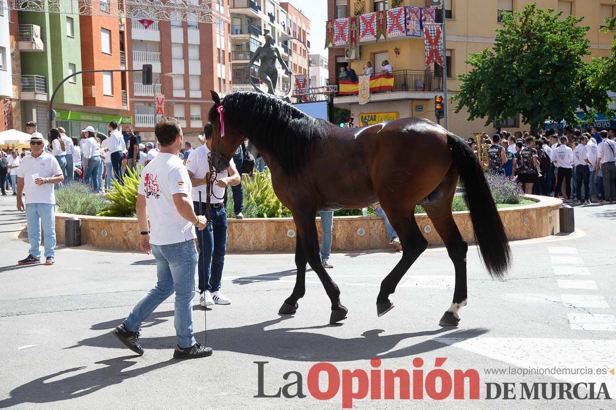 Pasacalles caballos del vino al hoyo