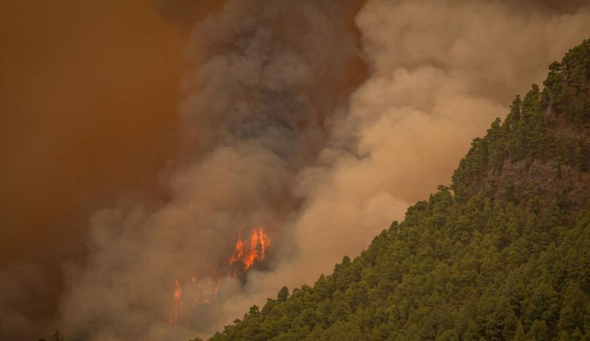 El fuego sin control en la corona forestal quema 1.800 hectáreas