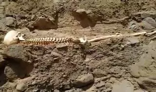 El asombroso hallazgo de un cadáver por dos senderistas en Gran Canaria