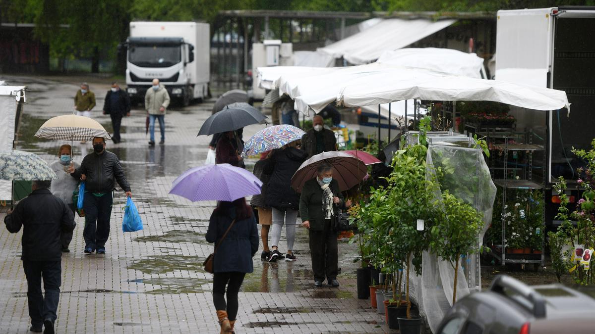 Entre los puestos más animados, los de venta de plantas