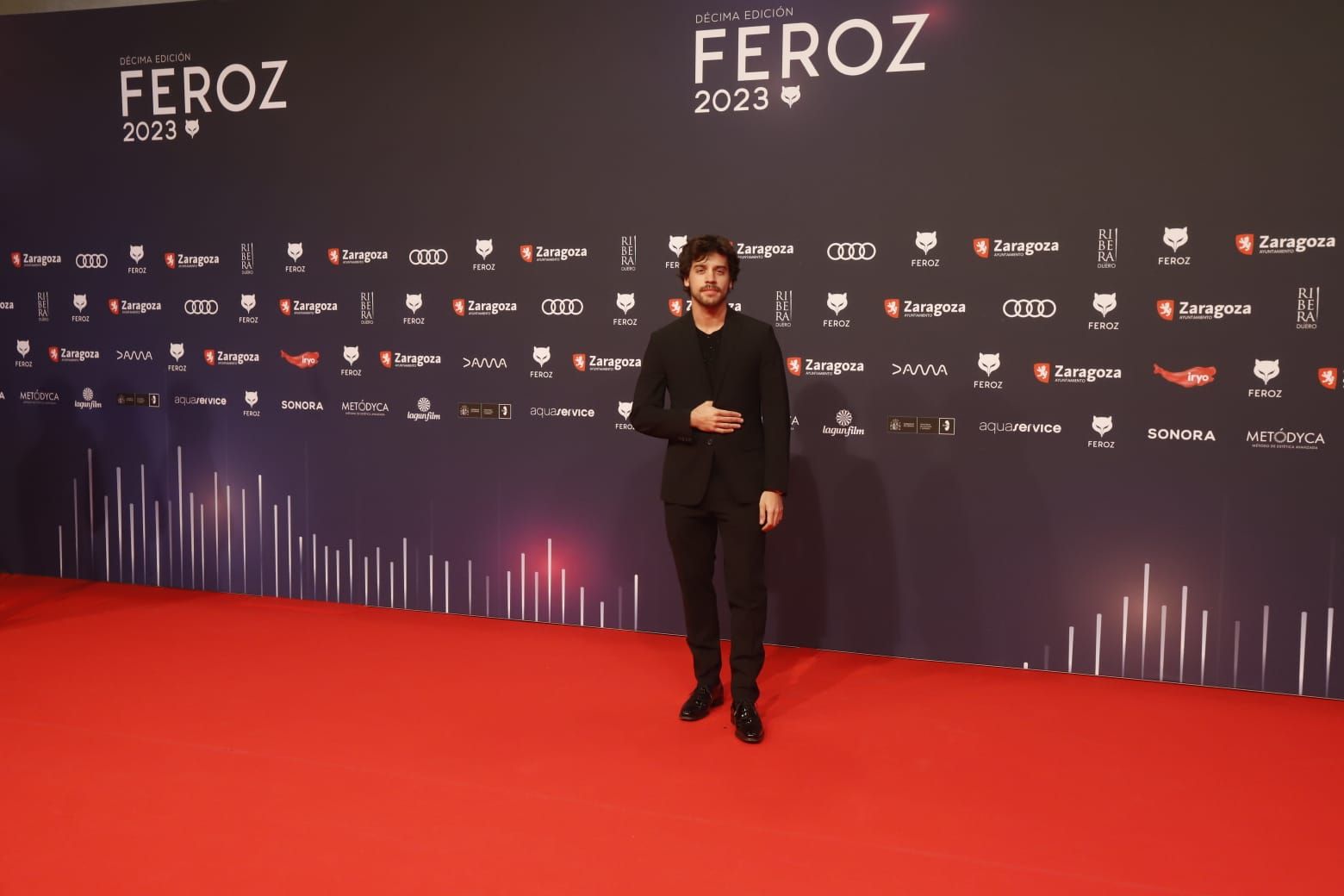 Alfombra roja de los Premios Feroz