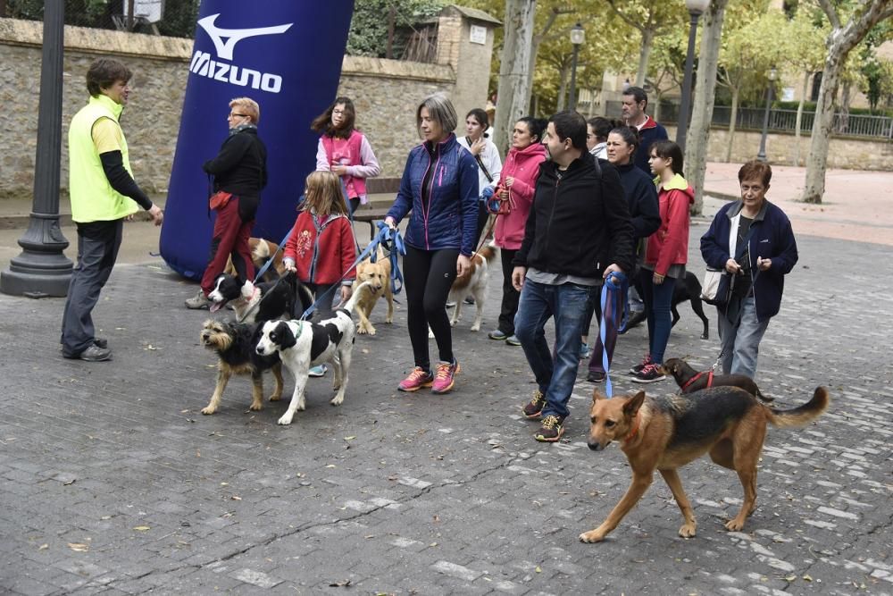 Caminada solidària de Regió7 a Solsona