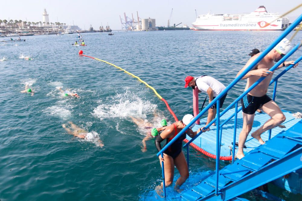 Este domingo se ha celebrado la 60ª edición de la Travesía a Nado del Puerto de Málaga, en la que han participado casi medio millar de nadadores