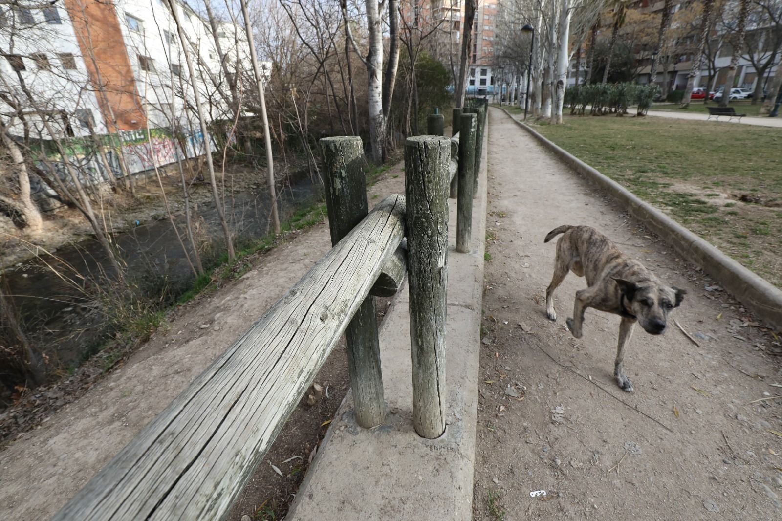 Así está la ribera del Huerva en la actualidad