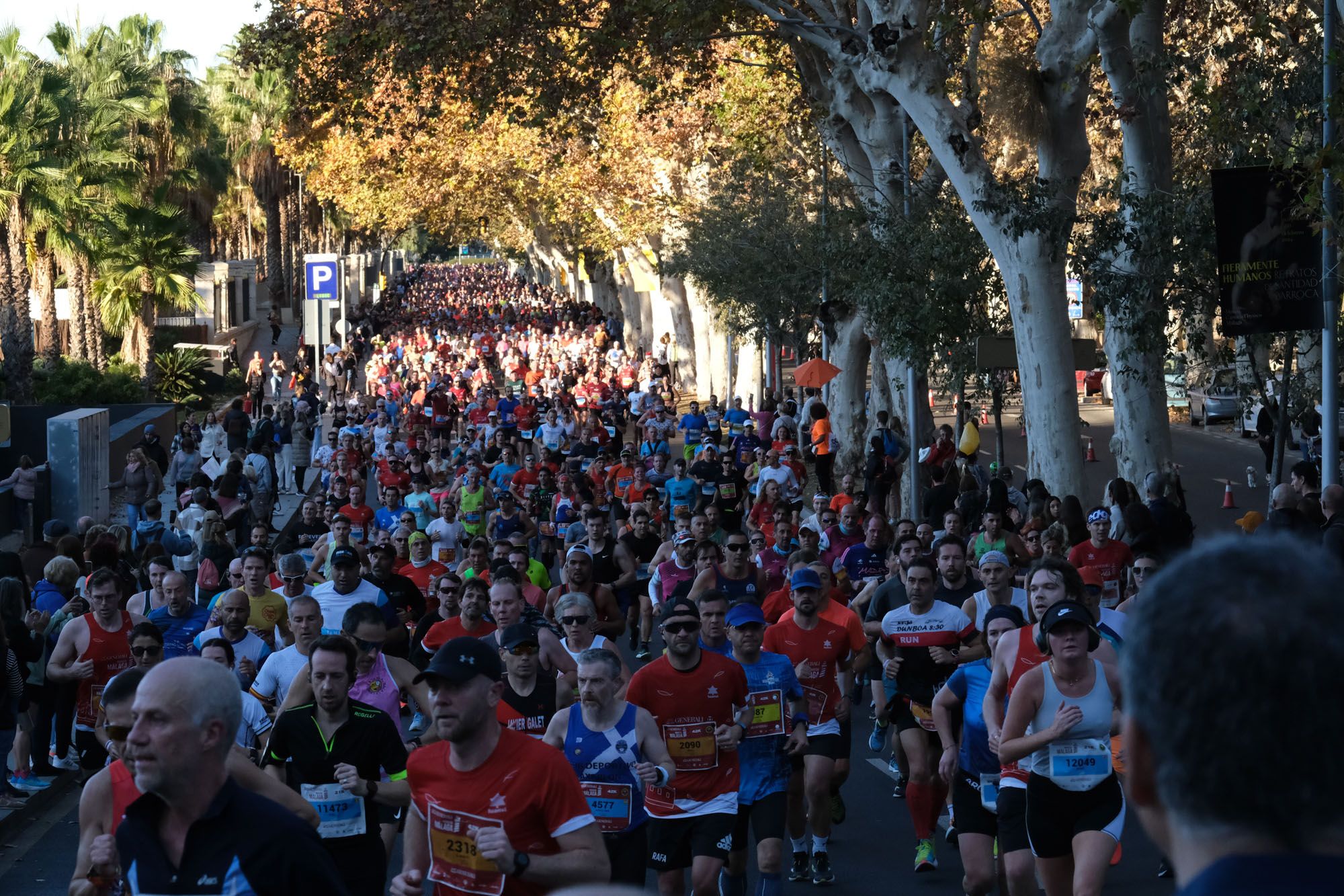 La Maratón de Málaga 2023, en imágenes