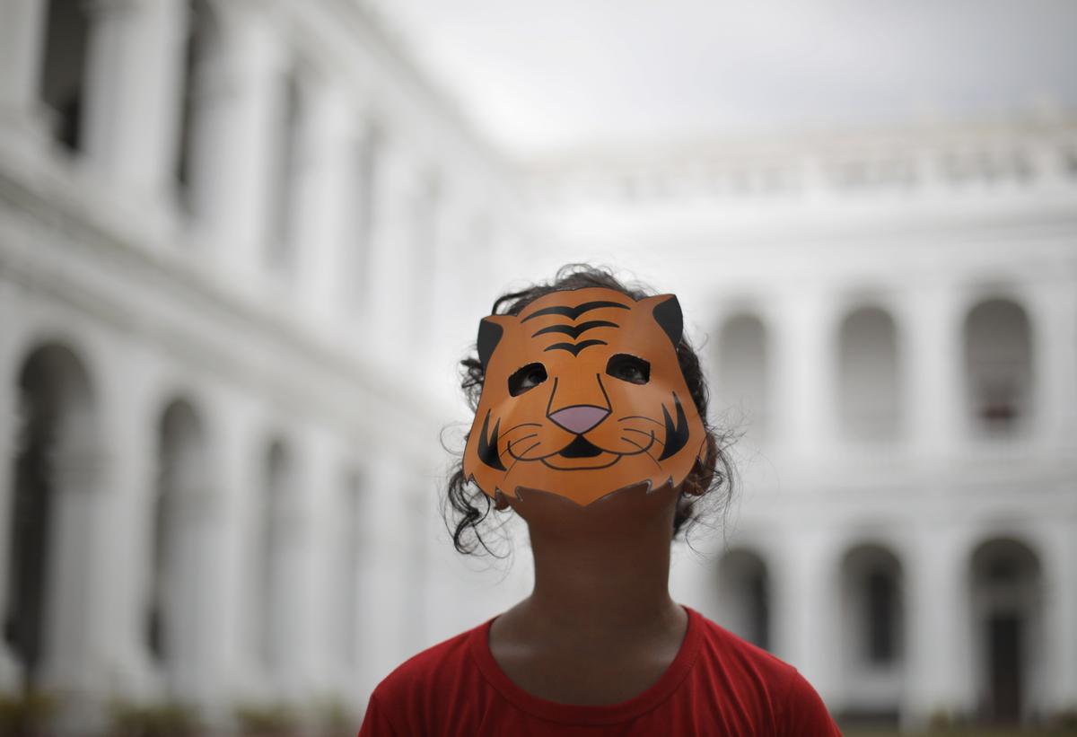 Escolares indios celebran el Día Mundial del Tigre