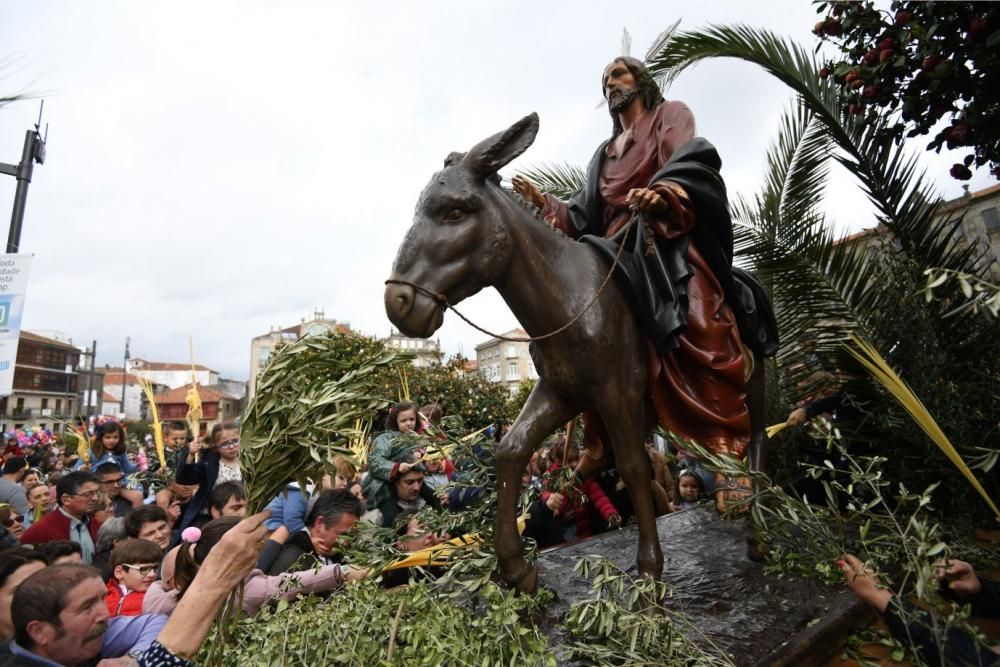 Multitudinaria procesión de "La Burrita" en Pontevedra. // G. Santos