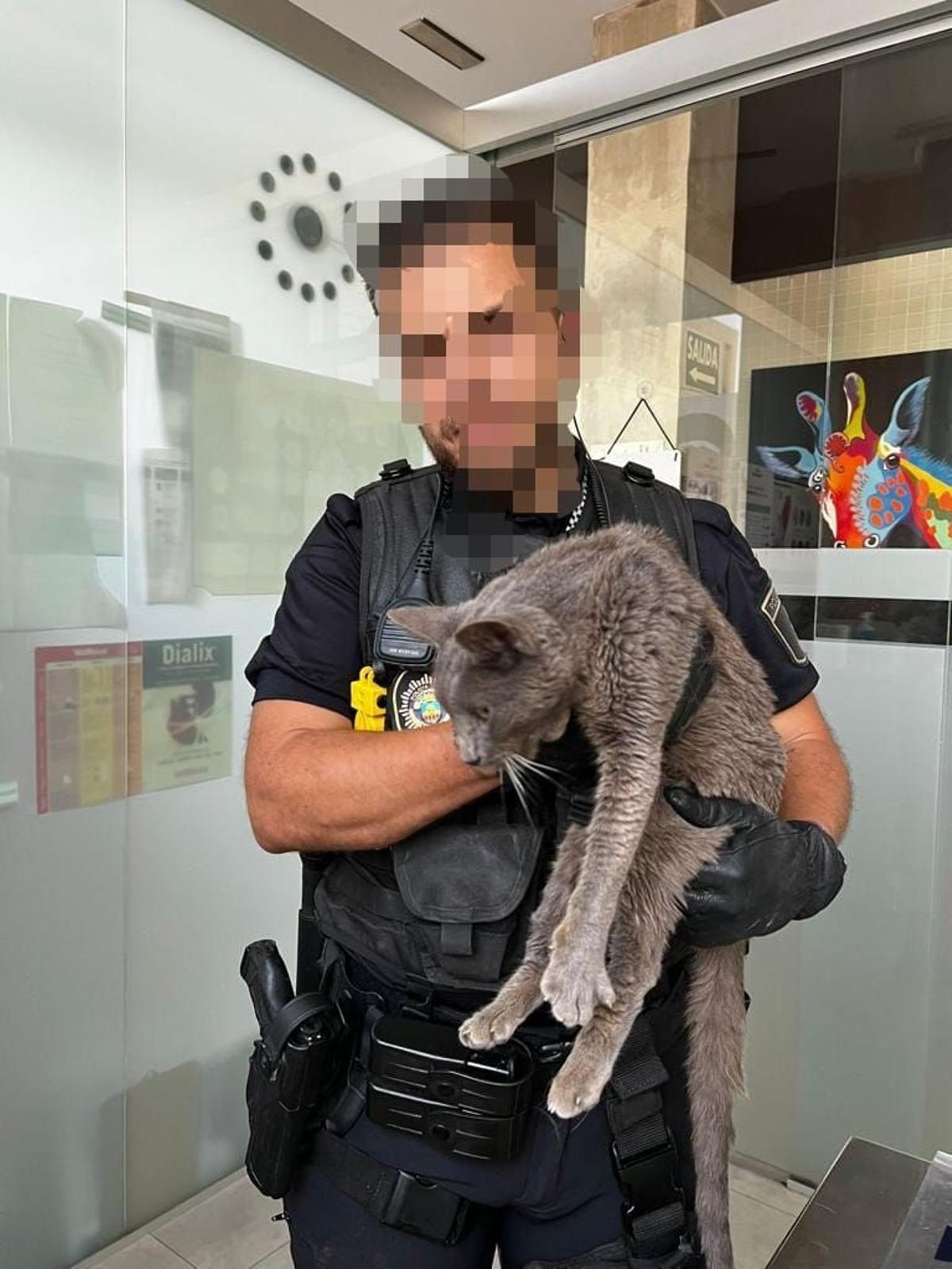 El agente de la policía sostiene al gato rescatado del acantilado