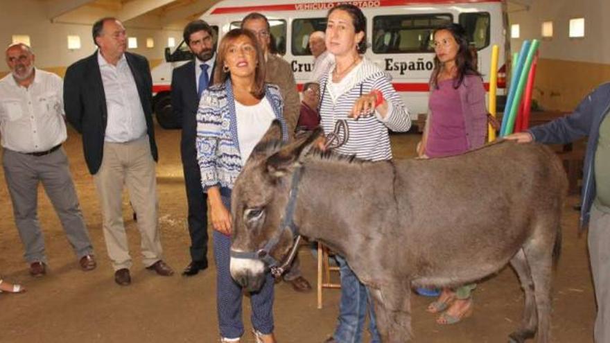 Mato participa en un circuito de asnoterapia en Soandres