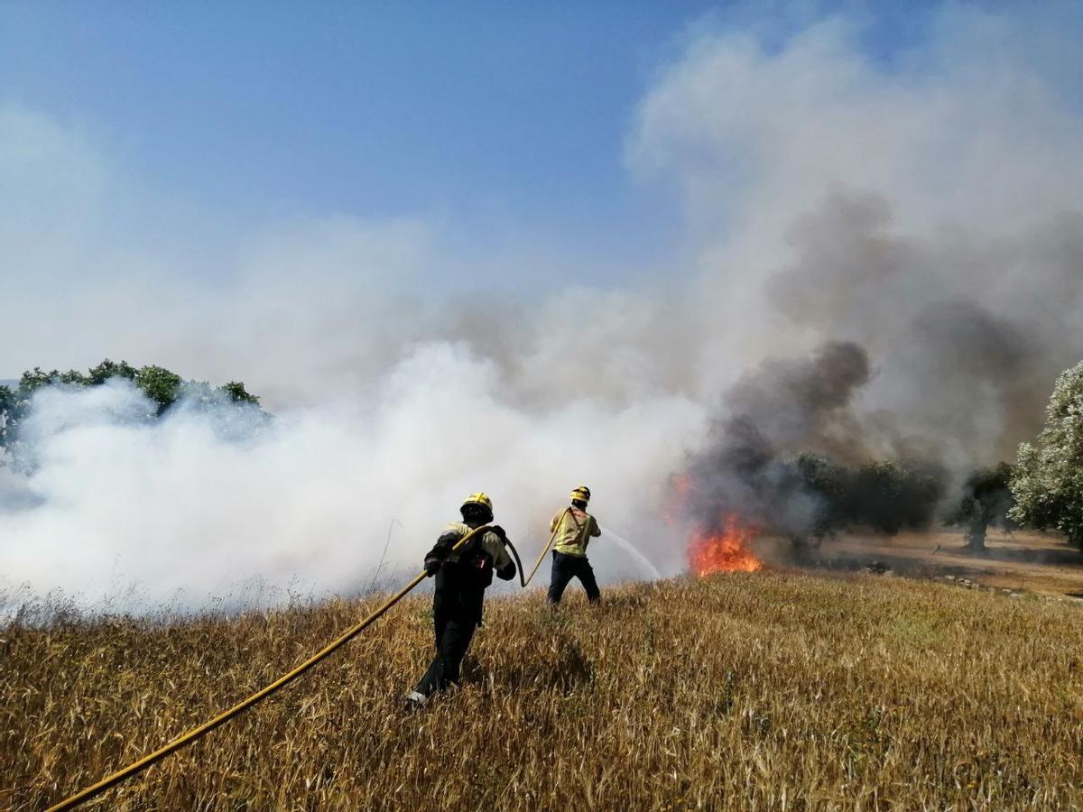 Una dotació de Bombers actua en un incendi a la Pobla de Massaluca