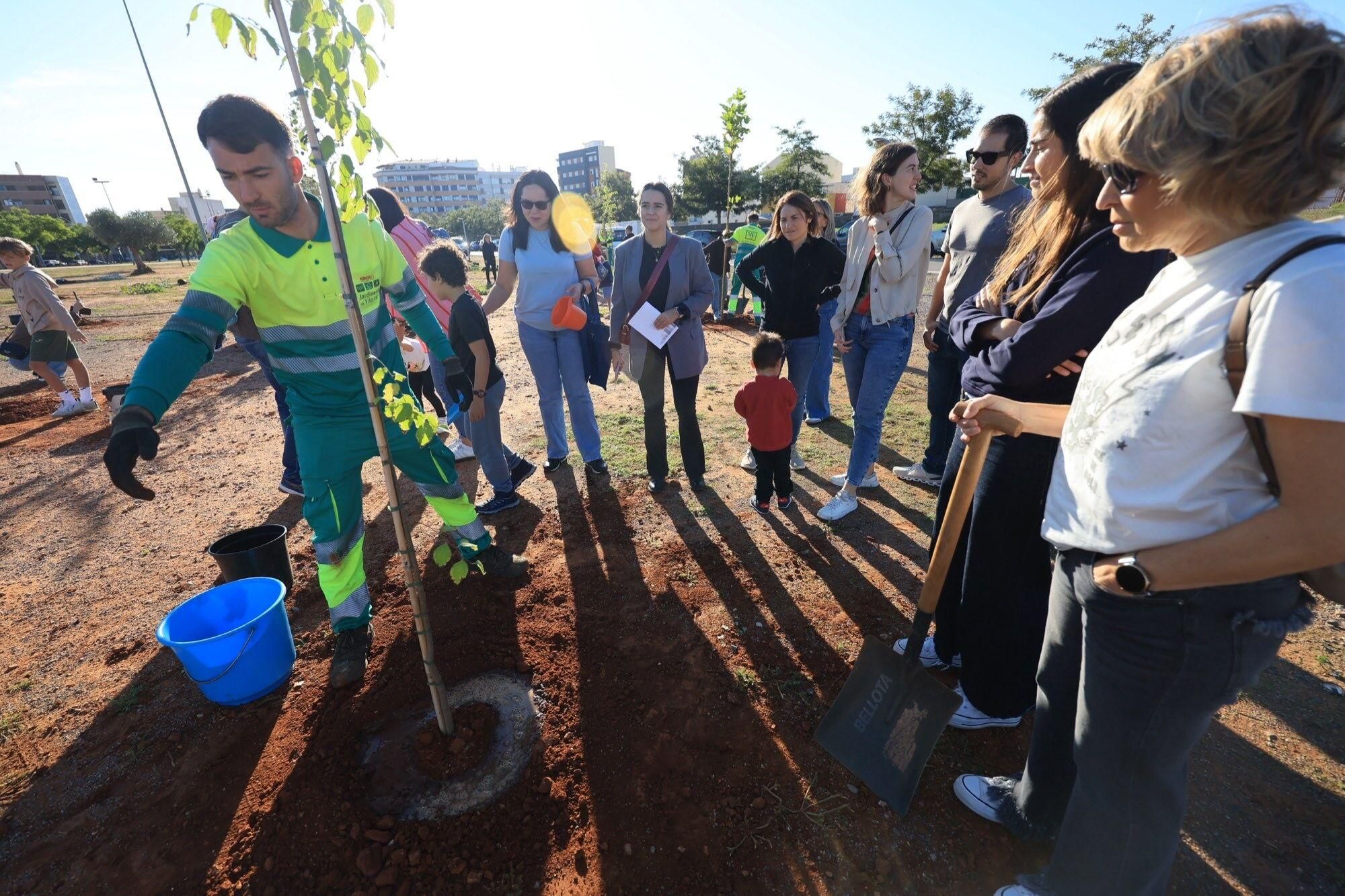  Éxito de la plantación de árboles por parte de personal y familias de Pamesa Grupo Empresarial en la Ciutat Esportiva Municipal de Vila-real que ha tenido lugar en la mañana. de este sábado La acción, que forma parte de la Responsabilidad Social Corporativa del grupo, está incluida en la programación del 20.º Mes de la Sostenibilidad de la Concejalía de Medio Ambiente.