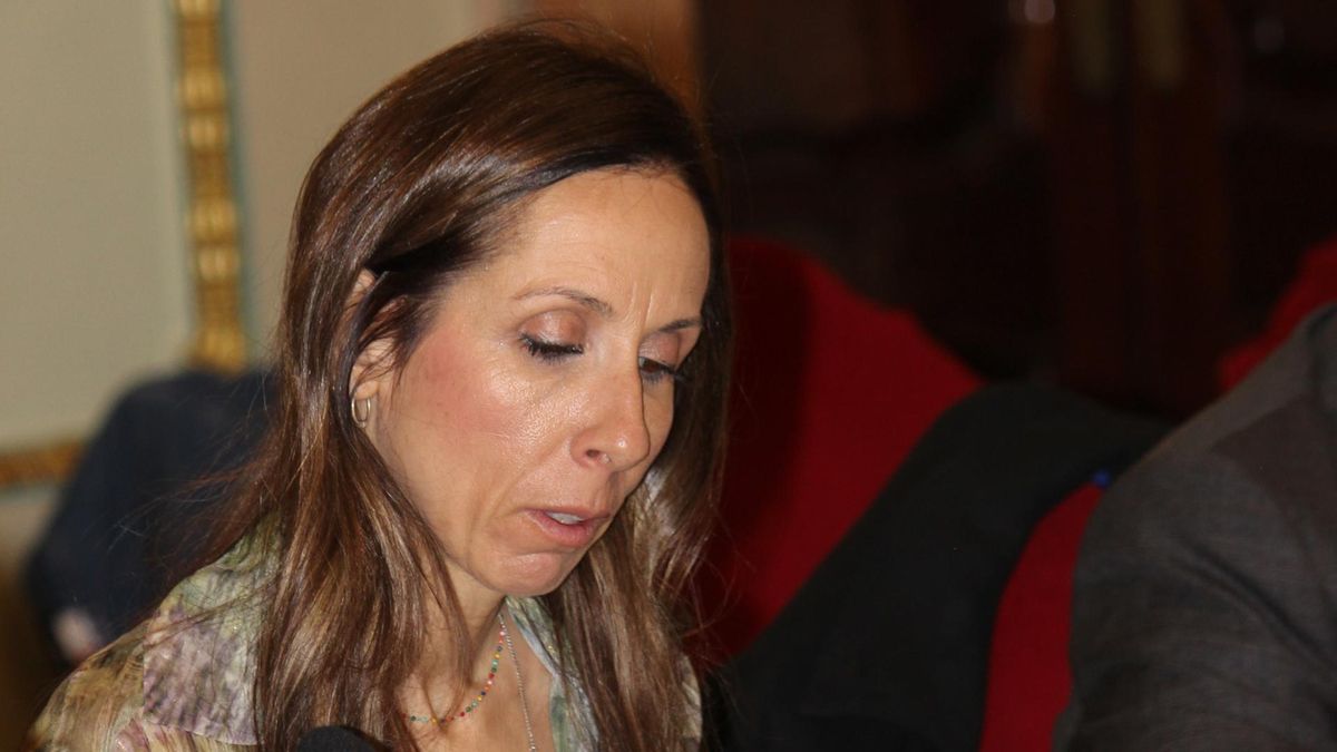 La edil socialista Esther Nevado durante un pleno municipal.