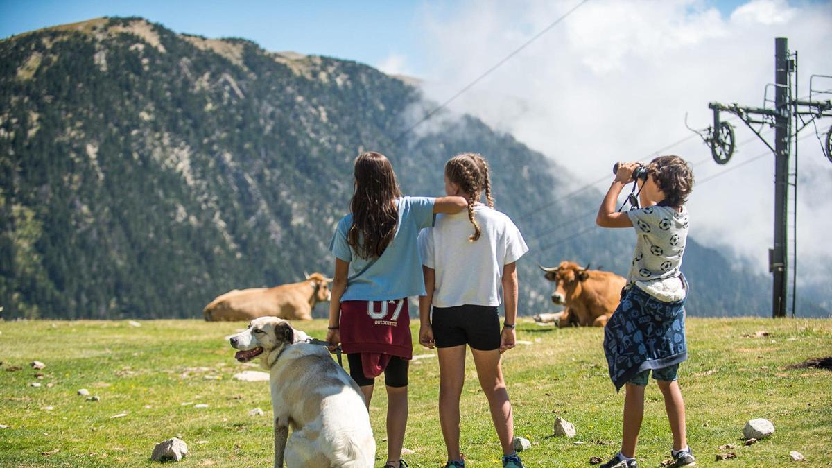 Vallter presenta una oferta d'activitats per fer esport i descobrir l'alta muntanya en família.