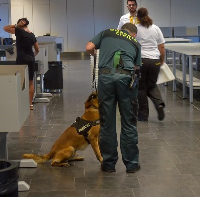 REPORTAJE UNIDAD CANINA AEROPUETO DE GRAN CANARIA