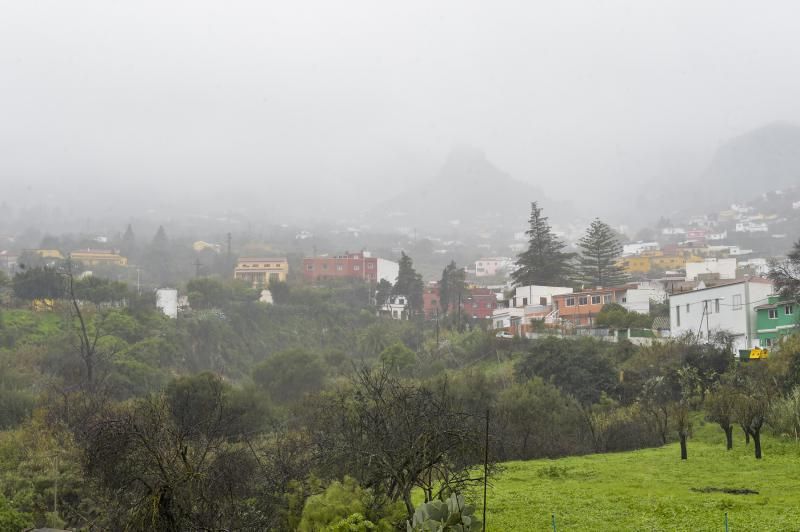 Los agricultores grancanarios celebran el paso de Filomena