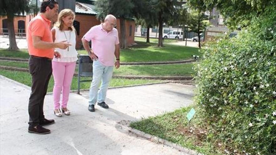 Benicàssim promou un itinerari botànic per el parc del Trenet