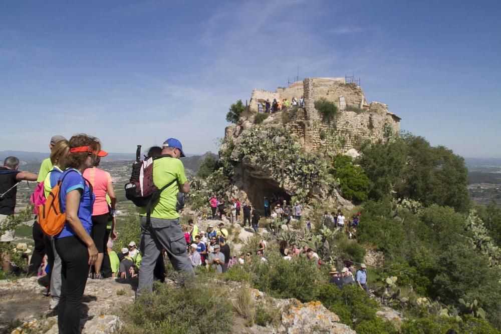 XXII Romeria a la ermita del Puig de Xàtiva