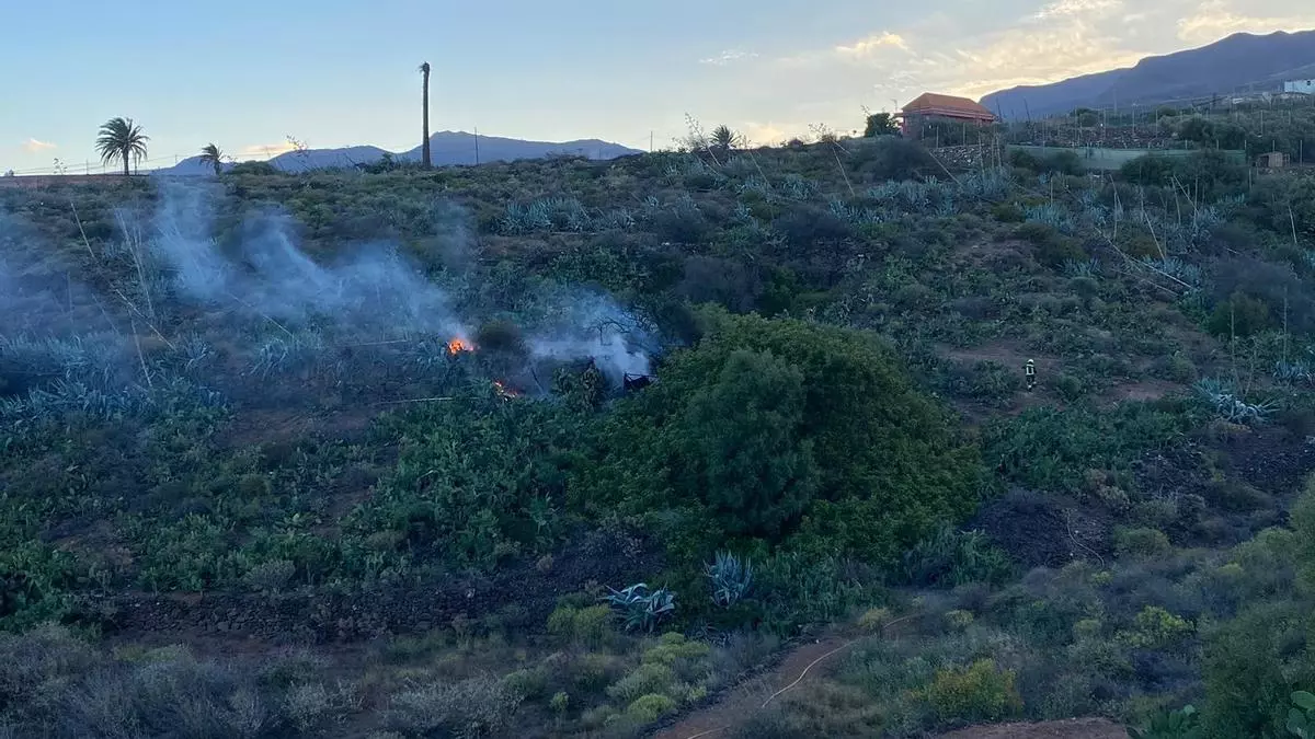 Controlado un conato de incendio en el barranco de Guayadeque