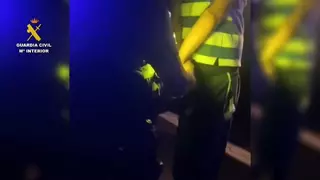 Detenido con más de 1.500 dosis de cocaína y por conducir sin carné en una autovía de Cáceres