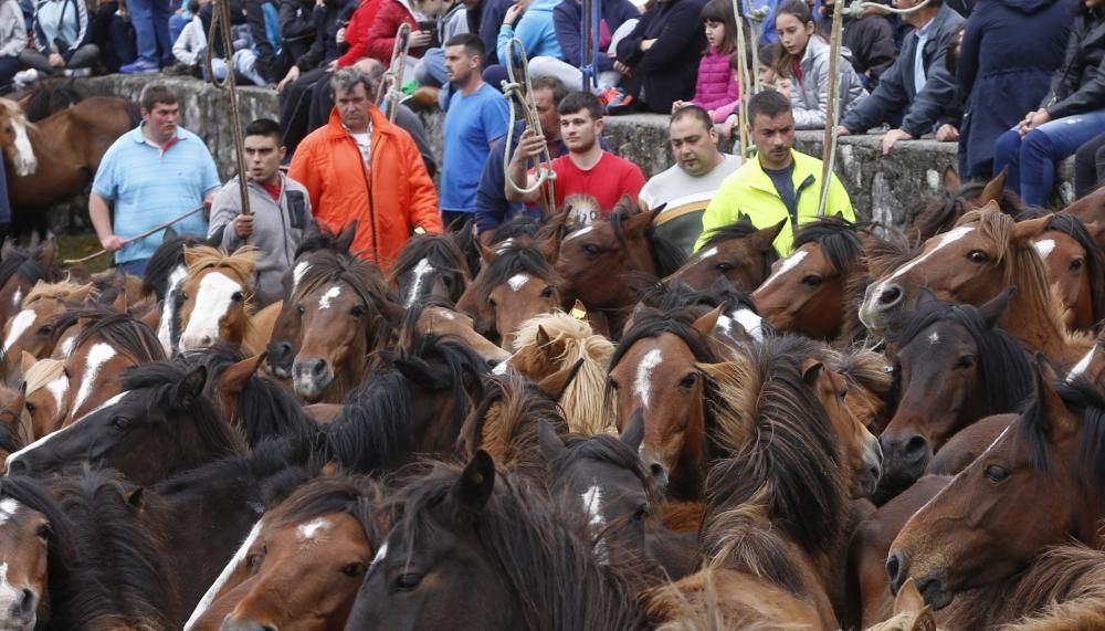 El primer curro de la temporada marca 270 caballos ante más de un millar de espectadores en Oia