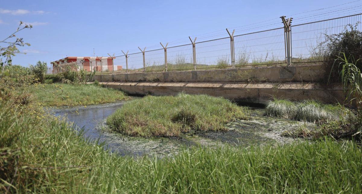 Vecinos del aeropuerto alertan de riego con aguas fecales