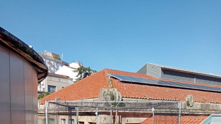 Jaula instalada en el multiusos de la plaza de abastos. | FdV