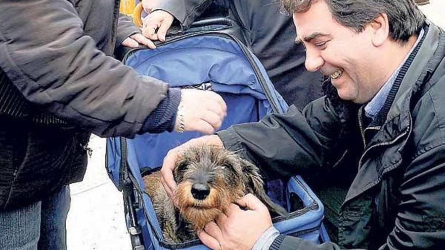 Una coruñesa denuncia el secuestro de su perro tras ser maniatada en su  casa - Faro de Vigo