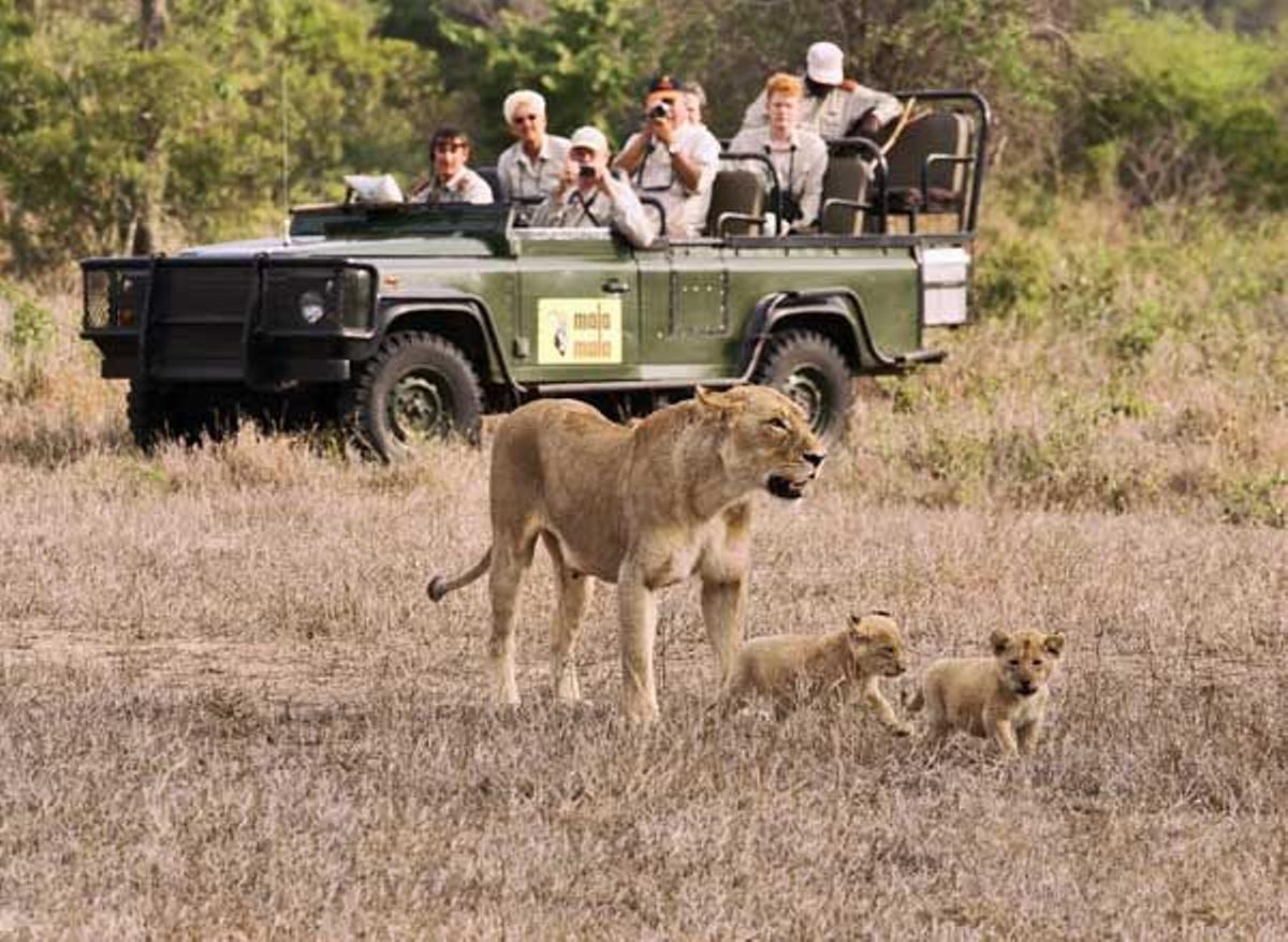 Parque Kruger