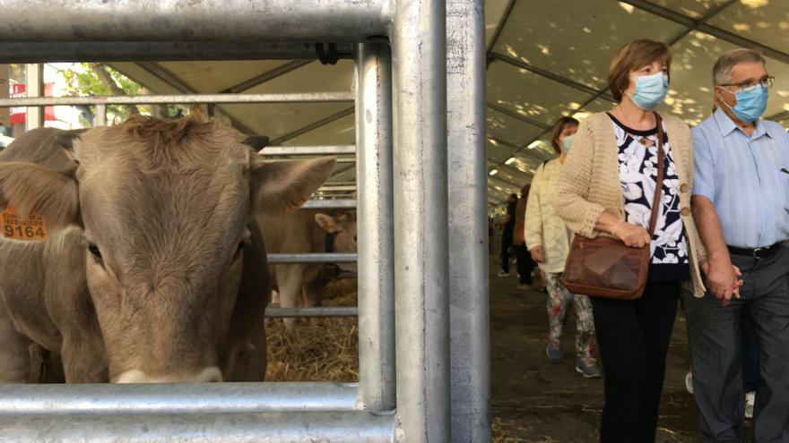 Berga potencia la Fira de Santa Tecla amb més sectors del camp