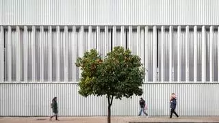 El pabellón del colegio Ferrobús de Palma opta a un premio nacional de arquitectura