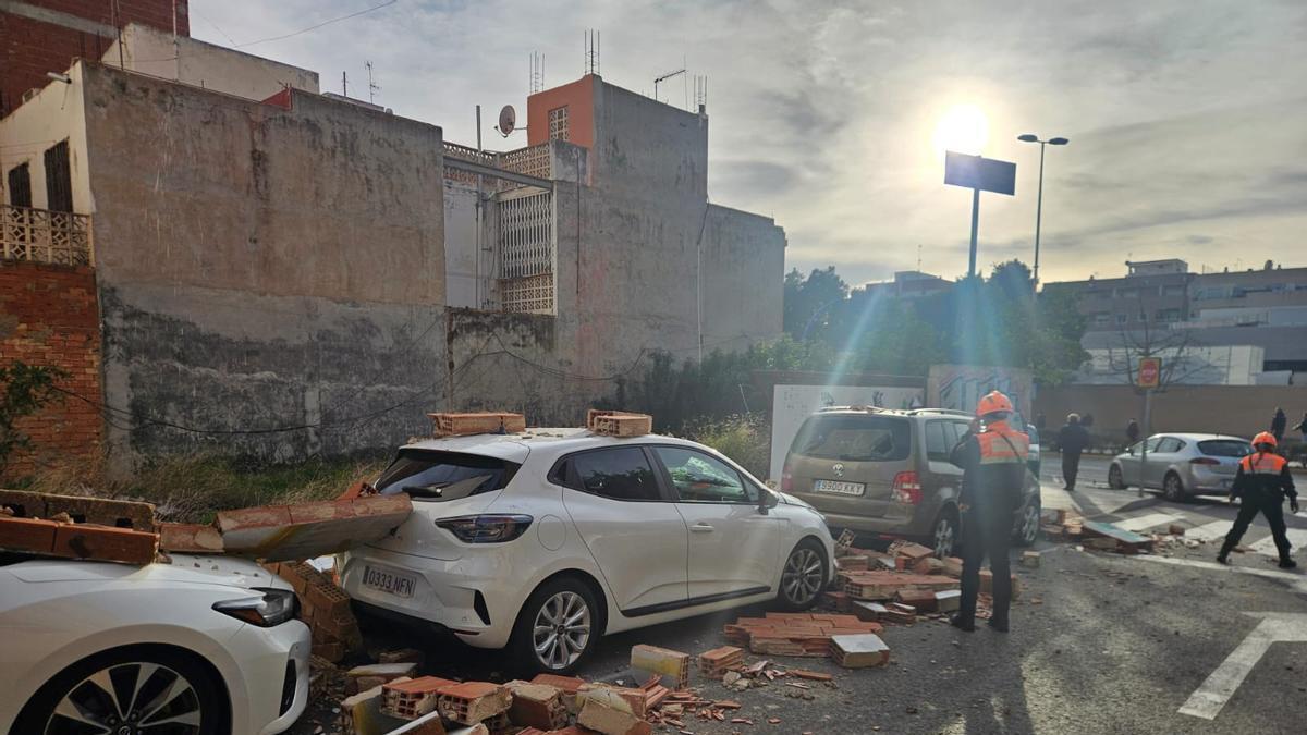 Árboles, muros y vallas derribados por el vendaval de la borrasca "Kristin" en Torrevieja