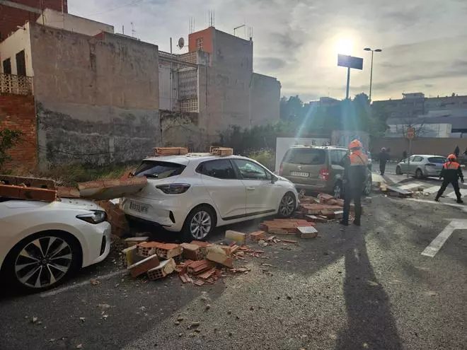 Árboles, muros y vallas derribados por el vendaval de la borrasca "Kristin" en Torrevieja