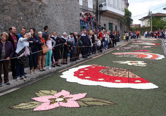 La lluvia ha amenazado la procesión y las alfombras florales, pero finalmente el recorrido se ha realizado con normalidad.