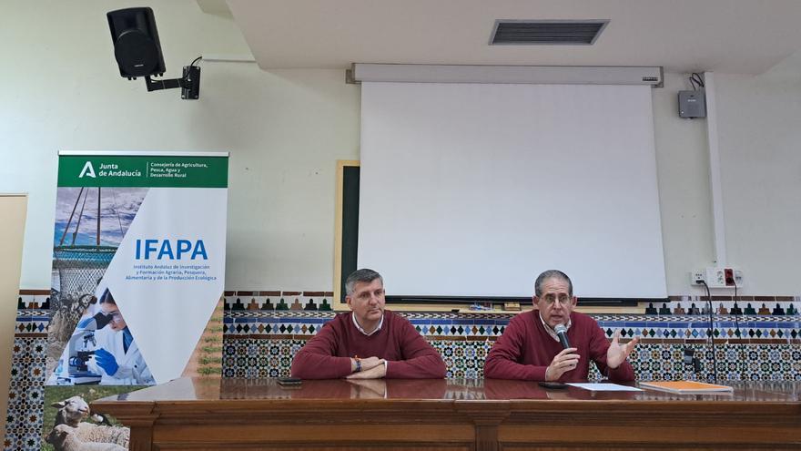 El Ifapa presenta sus líneas estratégicas para conservar la dehesa de Córdoba