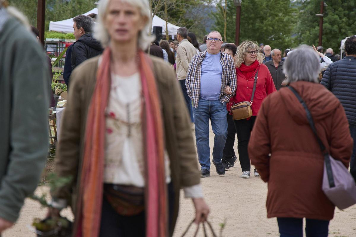 Una gentada s’ha acostat per visitar els 34 expositors presents, per participar en algun dels tallers programats o passejar per l’espai natural de la Fira de la Flor i el Planter. Una gentada s’ha acostat per visitar els 34 expositors presents, per participar en algun dels tallers programats o passejar per l’espai natural de la Fira de la Flor i el Planter.