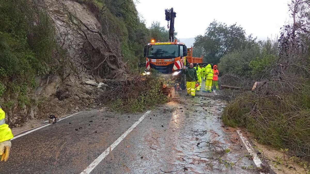 La caída de un árbol ha obligado a cortarun tramo de la CV-700