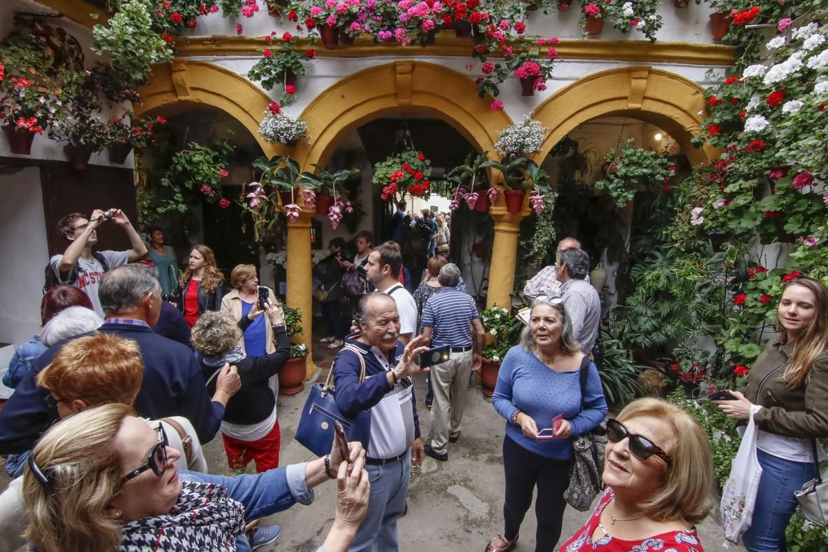 Paseando por el Alcázar Viejo