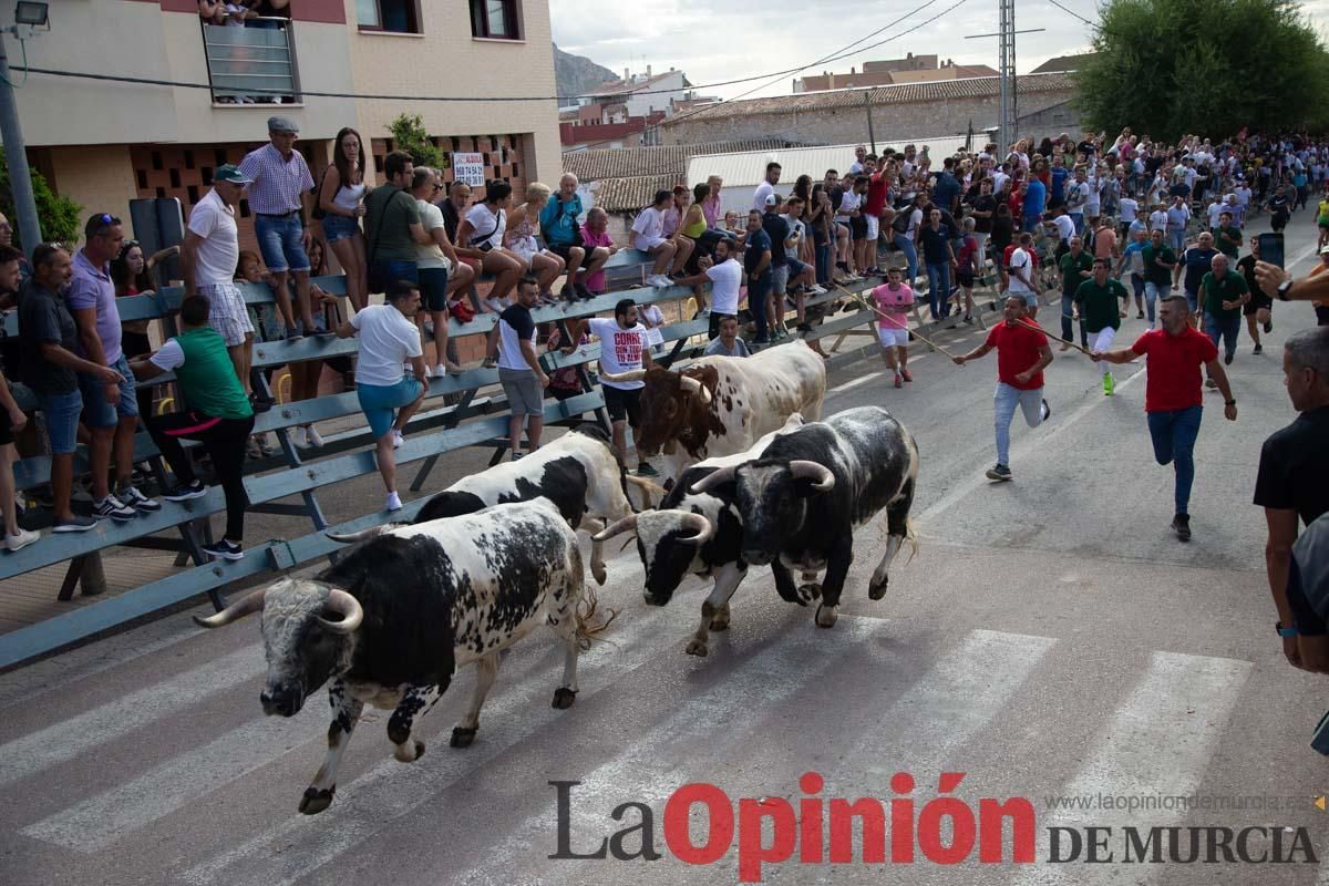 Primer encierro de la Feria del Arroz de Calasparra