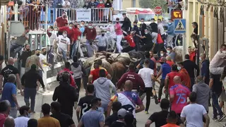 Sigue en directo la entrada de cerriles de las fiestas de Santa Quitèria de Almassora