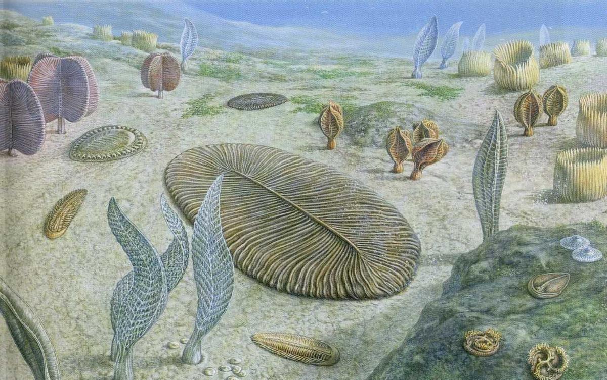 Dos supermontañas de la antigua Tierra impulsaron la evolución de la vida