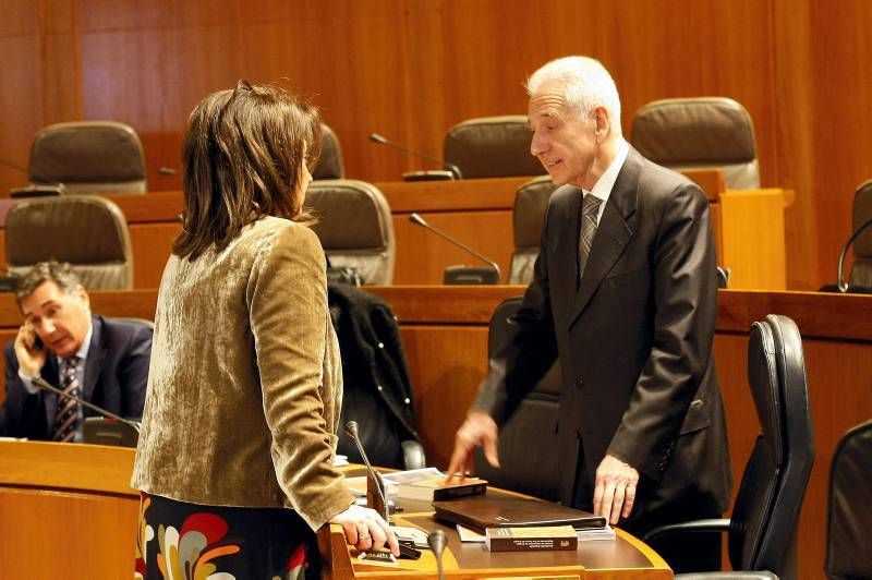 Fotogalería: Pleno en las Cortes de Aragón