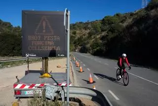 Persones i gossos tenen prohibit passejar pel bosc en aquests 12 municipis de la Catalunya central