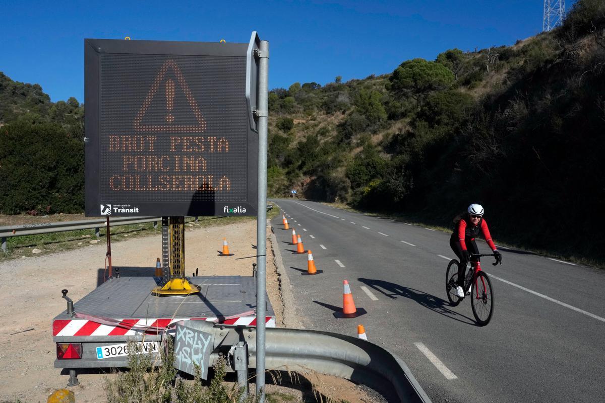 Un cartel advierte del brote de peste porcina en una carretera de Collserola.