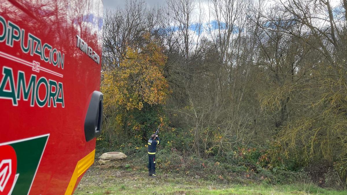 Un bombero disparando contra el nido en la zona recreativa junto al río en Milles de la Polvorosa.