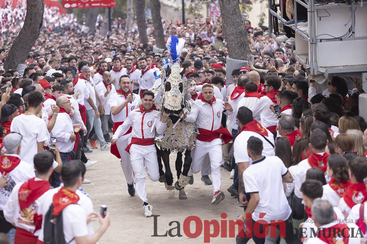 Así se ha vivido la carrera de Los Caballos del Vino en Caravaca