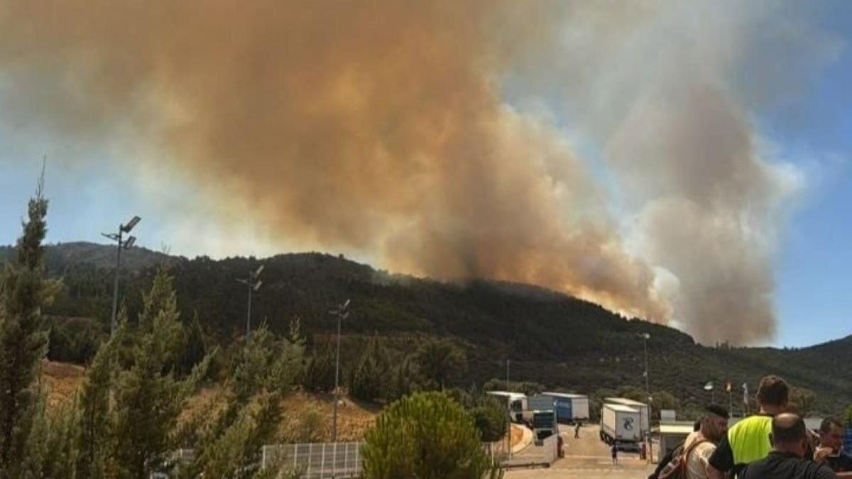 Vídeo | Incendio en Las Navas, en Herrera del Duque
