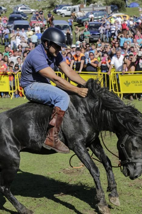 Fiesta del Asturcón en el Sueve