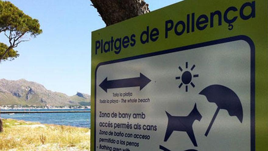 Playas en Mallorca para ir con tu mascota