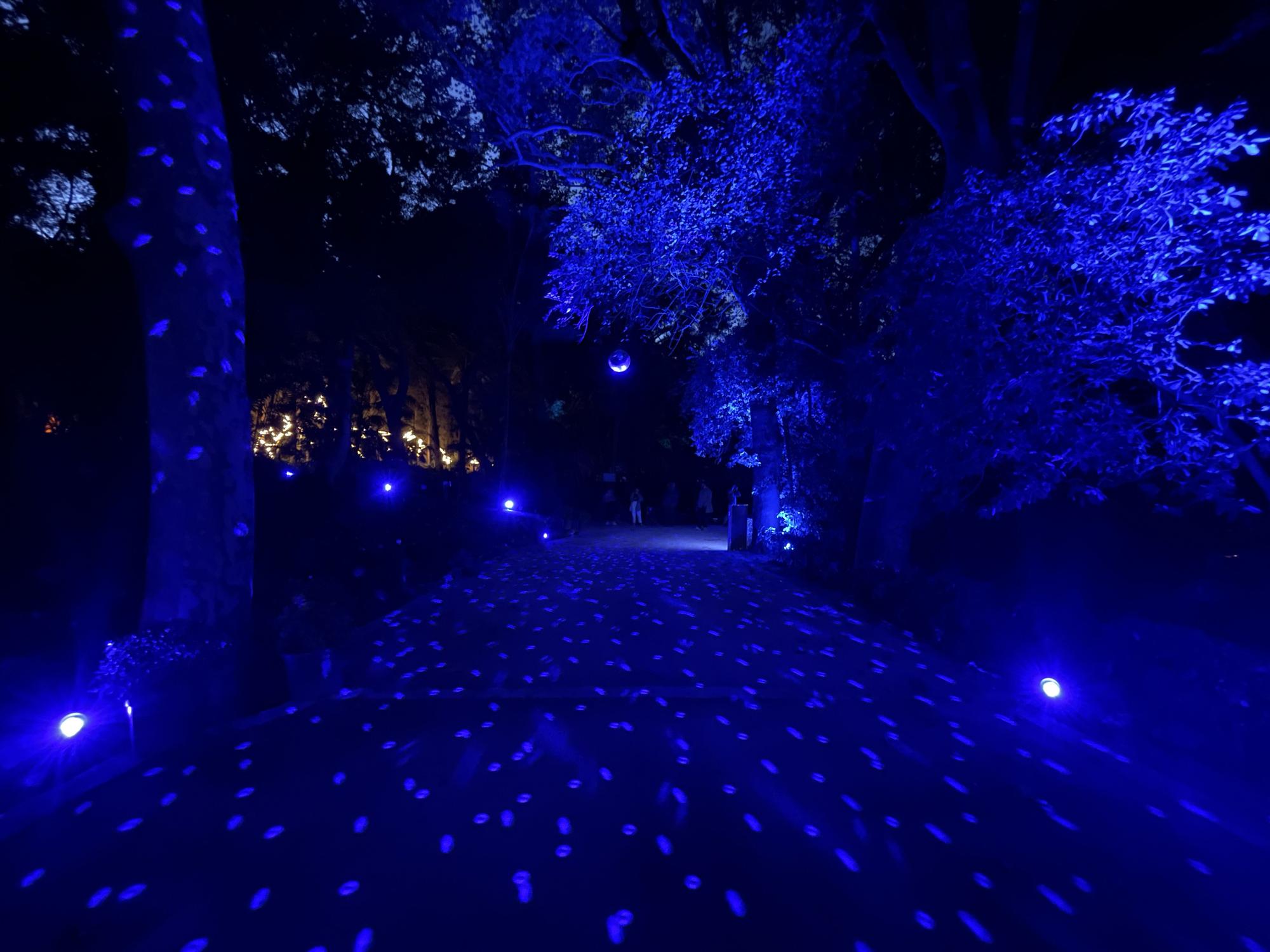 El Jardín Botánico Histórico La Concepción enciende sus luces de Navidad